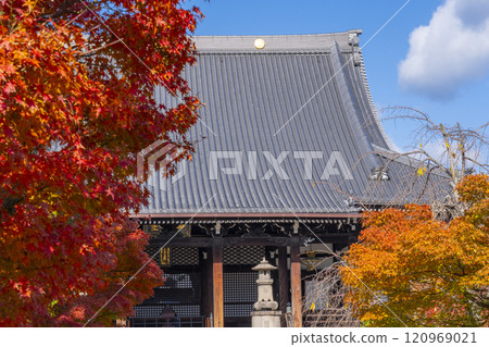 秋天的京都,妙見寺(妙見寺),被秋葉覆蓋的主殿 秋天的京都,妙見寺(妙見寺),被秋葉覆蓋的主殿 120969021