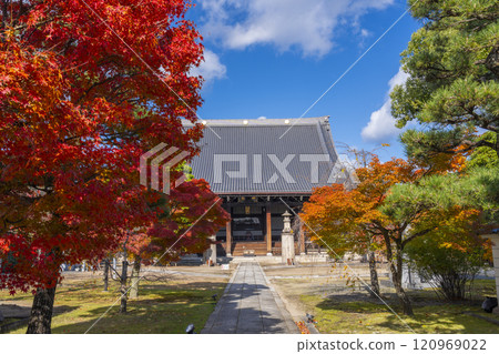 Autumn in Kyoto: Myokenji Temple (Myokenji) - The main hall surrounded by autumn leaves 120969022