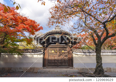 Autumn in Kyoto: Myokenji Temple (Myokenji) Imperial Gate surrounded by autumn leaves Autumn in Kyoto: Myokenji Temple (Myokenji) Imperial Gate surrounded by autumn leaves 120969029