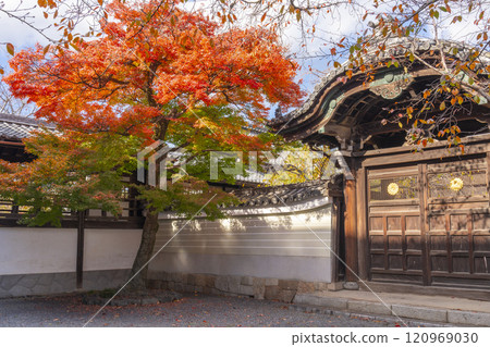 秋天的京都,妙見寺(妙見寺),秋葉覆蓋的直紫門 秋天的京都,妙見寺(妙見寺),秋葉覆蓋的直紫門 120969030