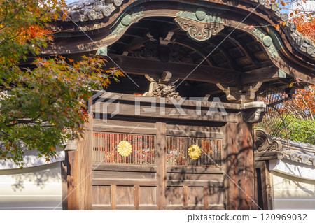 秋天的京都，妙見寺（妙見寺），秋葉覆蓋的直紫門 120969032