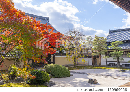 Kyoto Myokenji Temple (Myokenji) - Beautiful autumn leaves in the Shikai Shodo Garden 120969038