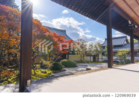 京都妙見寺(妙見寺) 紅葉美麗的識海書道庭園 京都妙見寺(妙見寺) 紅葉美麗的識海書道庭園 120969039