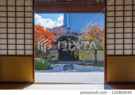 Kyoto Myokenji Temple (Myokenji) - Beautiful autumn leaves in the Shikai Shodo Garden 120969040