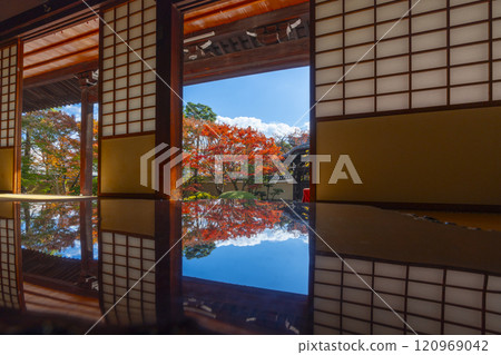 京都妙見寺（妙見寺） 紅葉美麗的識海書道庭園 120969042