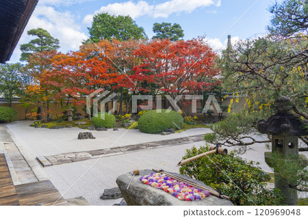 Kyoto Myokenji Temple (Myokenji) - Beautiful autumn leaves in the Shikai Shodo Garden 120969048