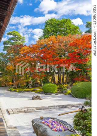 Kyoto Myokenji Temple (Myokenji) - Beautiful autumn leaves in the Shikai Shodo Garden Kyoto Myokenji Temple (Myokenji) - Beautiful autumn leaves in the Shikai Shodo Garden 120969052