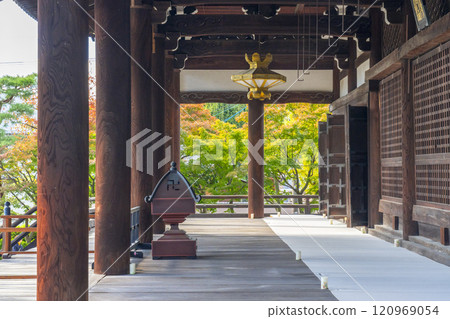 秋天的京都，妙見寺（妙見寺），被秋葉覆蓋的主殿 120969054