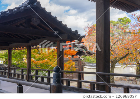 Autumn in Kyoto: Myokenji Temple (Myokenji) Imperial Gate surrounded by autumn leaves 120969057