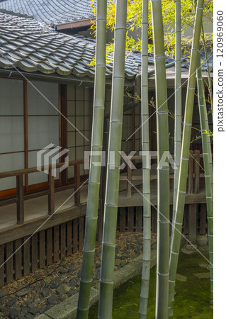 Kyoto Myokenji Temple (Myokenji) Moso Bamboo Garden 120969060