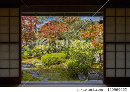 Autumn in Kyoto: Myokenji Temple (Myokenji) - Korin's Water Garden 120969065