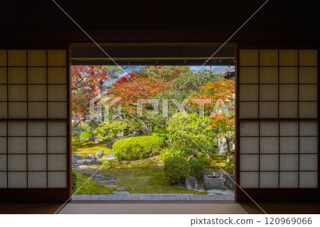 Autumn in Kyoto: Myokenji Temple (Myokenji) - Korin's Water Garden 120969066