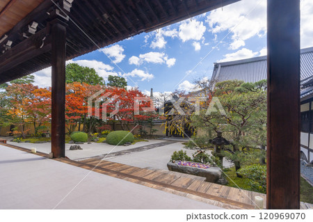 Kyoto Myokenji Temple (Myokenji) - Beautiful autumn leaves in the Shikai Shodo Garden 120969070