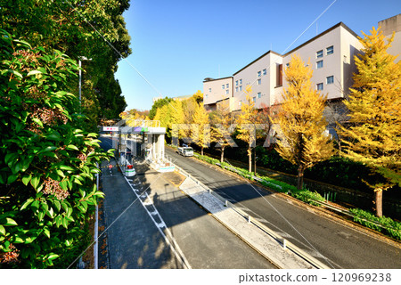 Autumn at the Metropolitan Expressway Route 4 Shinjuku Line Yoyogi Exit Autumn at the Metropolitan Expressway Route 4 Shinjuku Line Yoyogi Exit 120969238