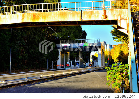 Autumn at the Metropolitan Expressway Route 4 Shinjuku Line Yoyogi Exit 120969244