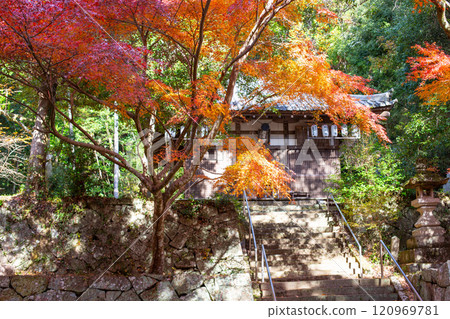 兵庫縣三木市的大谷山，秋葉美麗 120969781