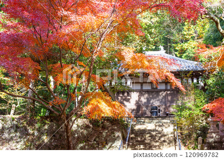 兵庫縣三木市的大谷山，秋葉美麗 120969782