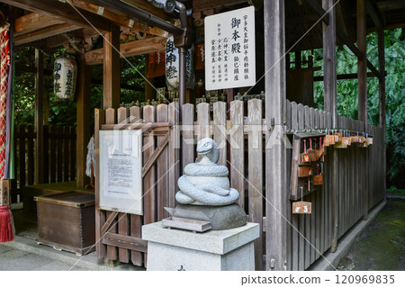 Komahebi (Snake of the Year 2025) at Otoyo Shrine on the Philosopher's Path in Kyoto 120969835