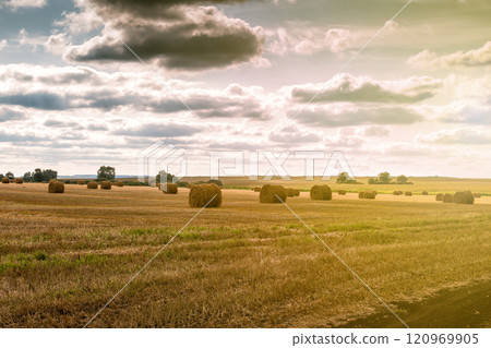 Twisted haystack on agriculture field landscape 120969905