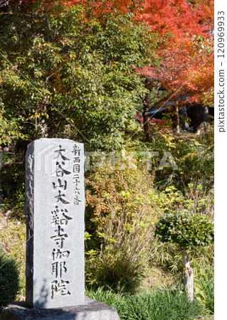 兵庫縣三木市大谷山大慶寺境內的紅葉 120969933