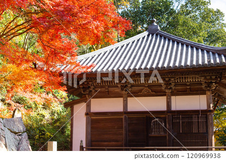 The main hall of Daikeiji Temple, Gaya-in, Mt. Otani, in Miki City, Hyogo Prefecture, is beautiful with autumn leaves. 120969938