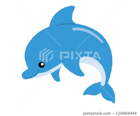 藍色海豚跳躍的插圖 120969944