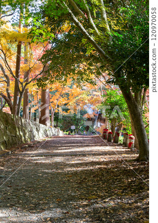 兵庫縣三木市大谷山大慶寺Kyarain境內秋葉盛開的庭園中的地藏菩薩像。 兵庫縣三木市大谷山大慶寺Kyarain境內秋葉盛開的庭園中的地藏菩薩像。 120970058