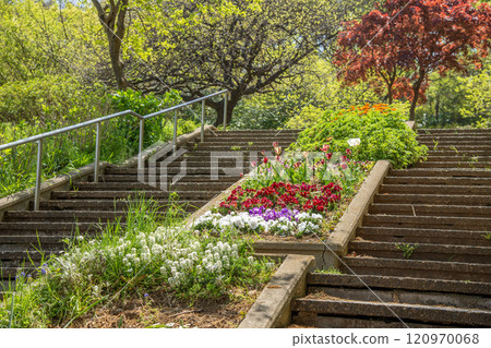 神奈川縣橫濱市港北區日吉公園日吉 神奈川縣橫濱市港北區日吉公園日吉 120970068