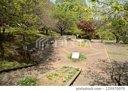 神奈川縣橫濱市港北區日吉公園日吉 神奈川縣橫濱市港北區日吉公園日吉 120970070