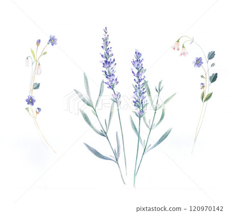 Artistic Hand Drawn Creations with Watercolor and Oil of Curly and Floral 120970142