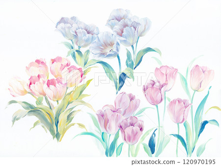 Creative Watercolor & Oil Illustrations of Curly Motifs and Flowers 120970195