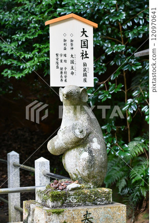 京都哲學家之路 大豐神社 大黑神社的科馬老鼠 京都哲學家之路 大豐神社 大黑神社的科馬老鼠 120970641