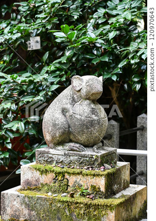 Kyoto Philosopher's Path, Otoyo Shrine, Daikokusha Shrine's Koma-nezumi 120970643
