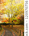 秋葉公園小路 120970756