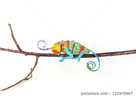 Artistic chameleon illustration, bright blue, yellow, red hues, curled tail, branch, white background, colorful eye-catching design, 120970967
