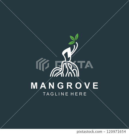 Mangrove tree logo nature design Abstract Minimalist Sign Symbol Environment template 120971654