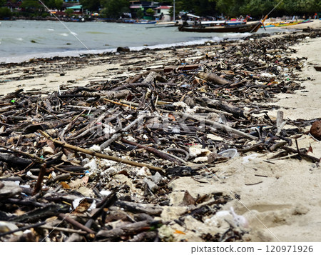 A beach heavily littered with wood and plastic A beach heavily littered with wood and plastic 120971926
