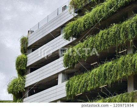 Detailed view of windows, doors and balconies of city buildings Detailed view of windows, doors and balconies of city buildings 120971934
