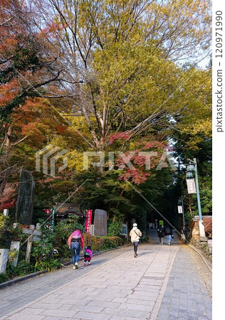 [Mount Takao] Beautiful autumn foliage on the approach to Mount Takao Yakuoin Temple 120971990