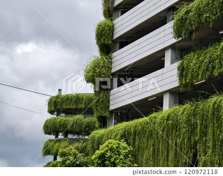 Detailed view of windows, doors and balconies of city buildings  120972118