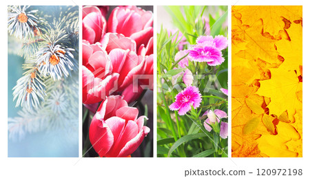 Four seasons of year. Set of vertical nature banners with winter, spring, summer and autumn scenes. Nature collage with seasonal scenics. Copy space for text 120972198