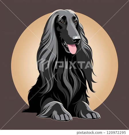 Illustration of a sitting Afghan Hung 120972295