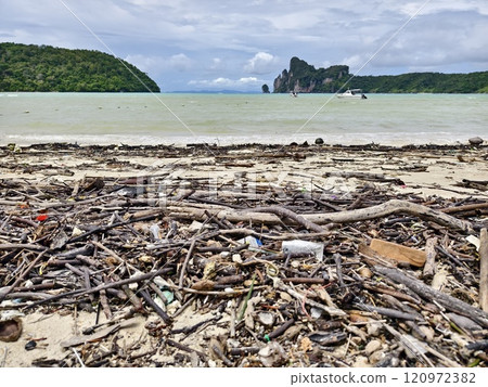 A beach heavily littered with wood and plastic A beach heavily littered with wood and plastic 120972382