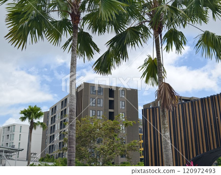 Detailed view of windows, doors and balconies of city buildings  120972493