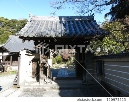 鎌倉市淨光妙寺(正門) 鎌倉市淨光妙寺(正門) 120973223