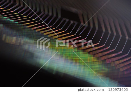 兩隻紅蜻蜓棲息在草莖上 兩隻紅蜻蜓棲息在草莖上 120973403