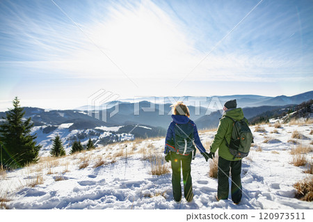 Rear view of active seniors standing in the middle of winter nature, holding hands and enjoying beautiful view. Rear view of active seniors standing in the middle of winter nature, holding hands and enjoying beautiful view. 120973511