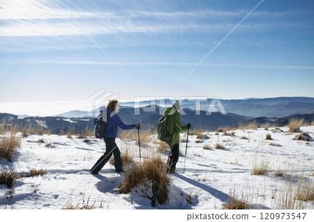 Active seniors walking through snowy winter nature. Romantic winter hike for an elderly couple in snowy mountains. 120973547