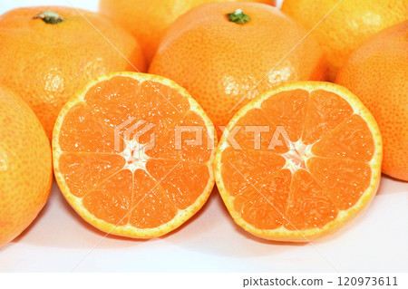 橘子（花橘橘子） 120973611