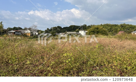 日本鄉村景觀 120973648